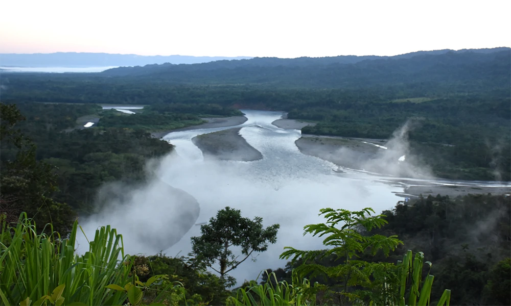 Explora la Ruta Silvestre del Manu | 5D