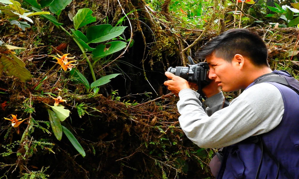 Explora la Ruta Silvestre del Manu | 5D