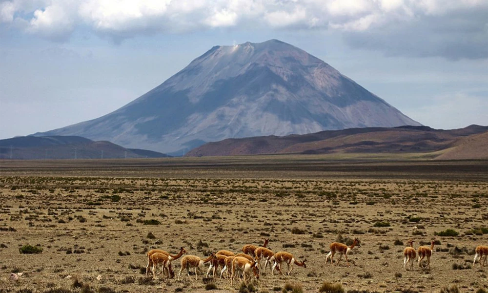 Tour Cañón del Colca 2D/1N | Naturaleza, Cultura y Cóndores