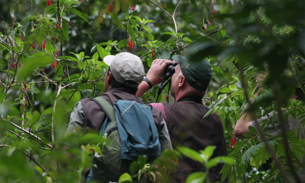 Aventura en la Selva del Manu 4D/3N