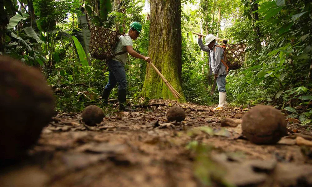 Full Day Reserva Nacional Pacaya Samiria