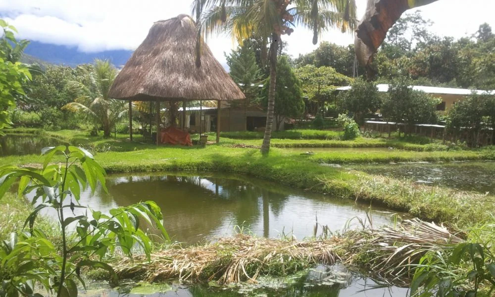 Tour Full Day 7 Tinajas – Catarata Illapani – Chocofinca