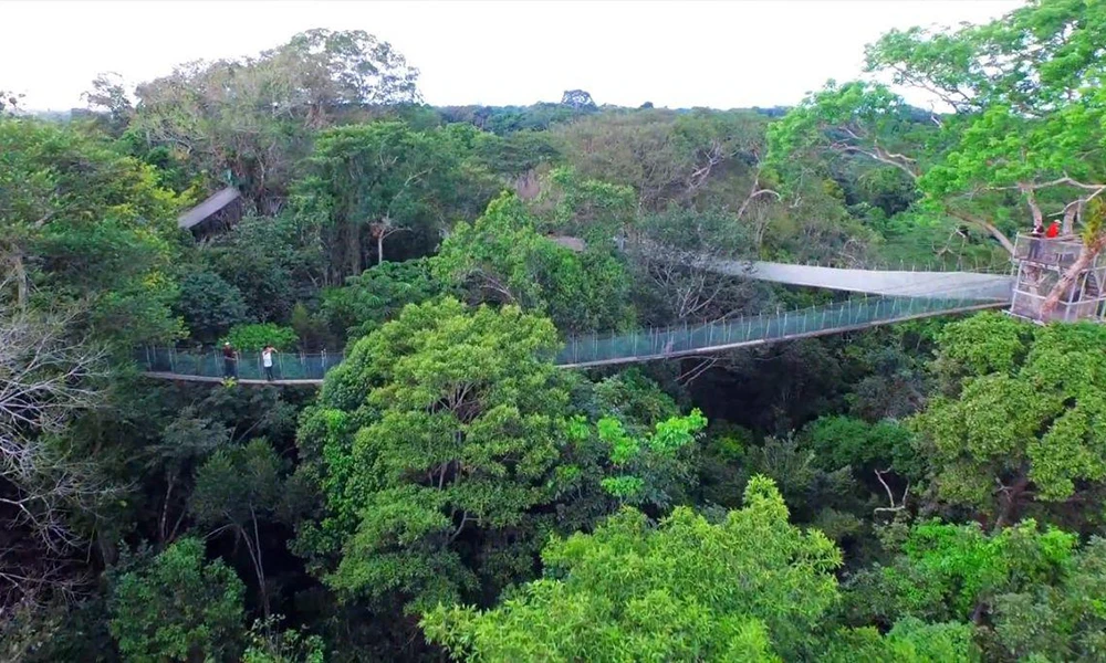 Naturaleza, Cultura y Adrenalina en la Amazonía