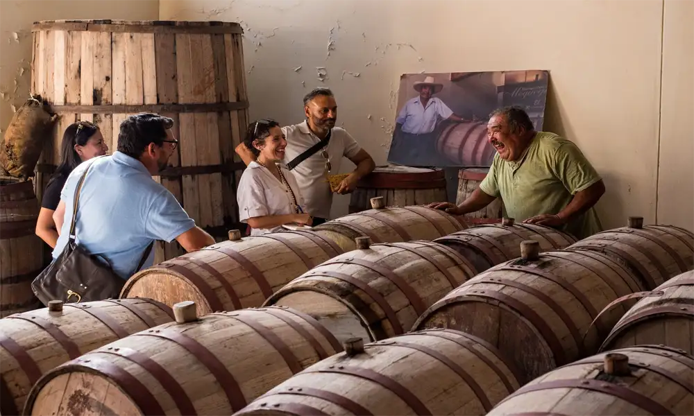 Tour Full Day Ica, Huacachina y Aventura en el Desierto