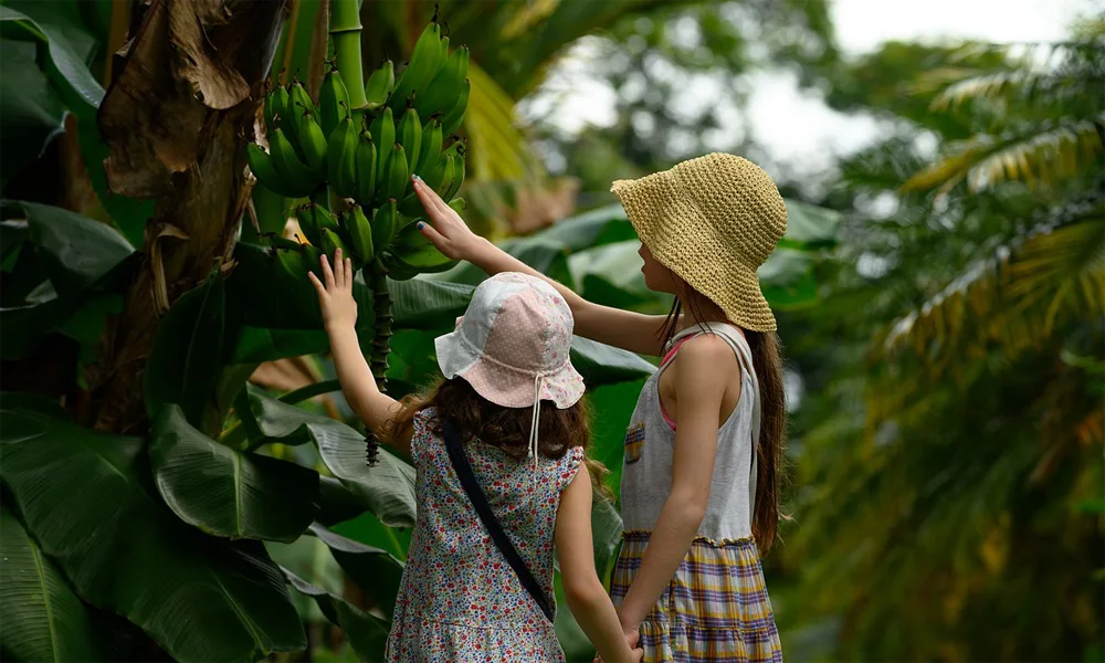 City Tour Iquitos | Historia Viva, Cultura Amazónica