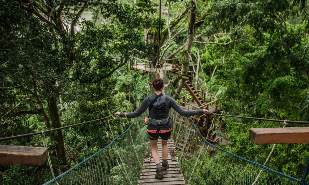Refugio de Monos y Delfines en el Amazonas