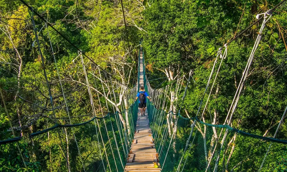 Refugio de Monos y Delfines en el Amazonas