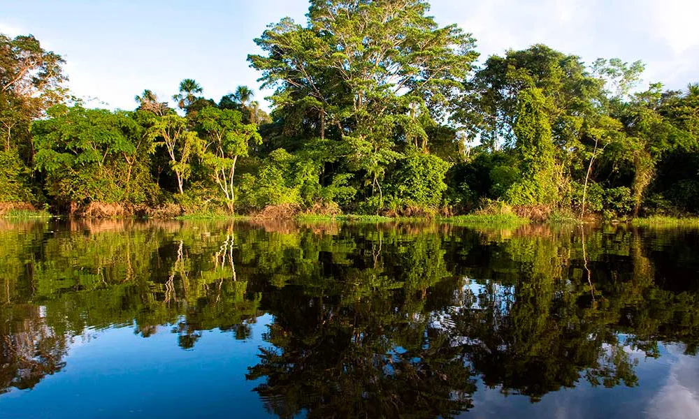 Full Day Reserva Nacional Pacaya Samiria