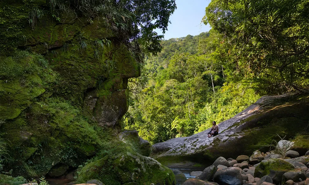 Tamshiyacu Reserve | Amazon Adventure 6 Days/5 Nights