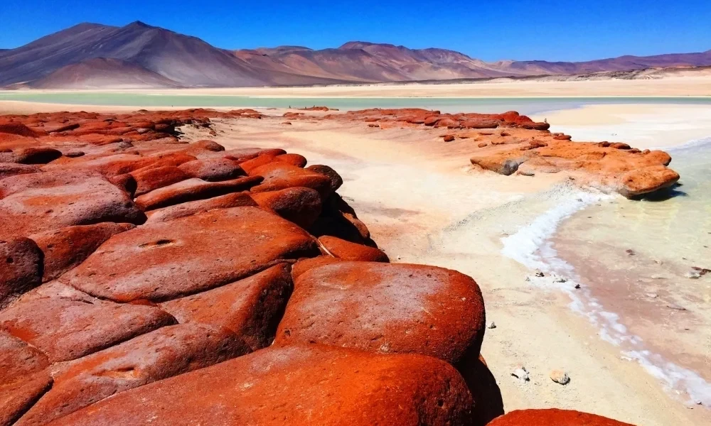 Piedras Rojas, Lagunas Altiplanicas y Laguna Chaxa