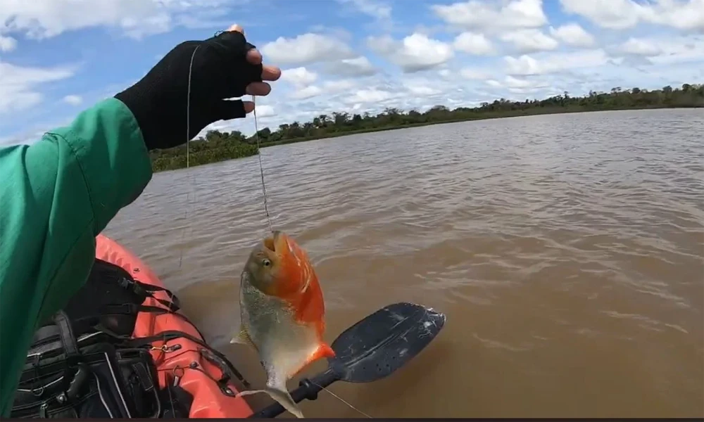 Excursão de pesca de piranhas em Tambopata
