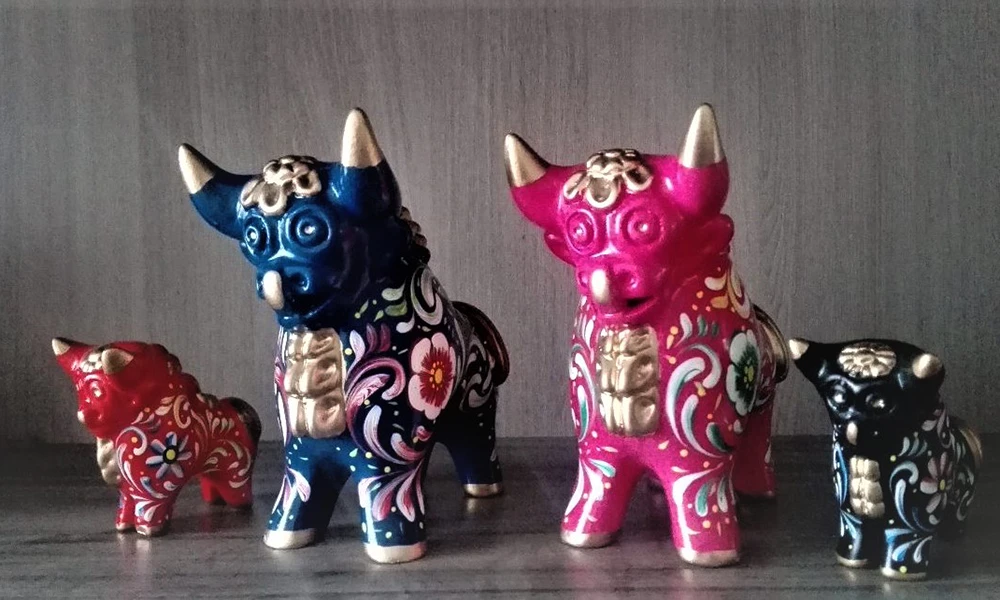 Picnic in the eucalyptus forest in Cusco