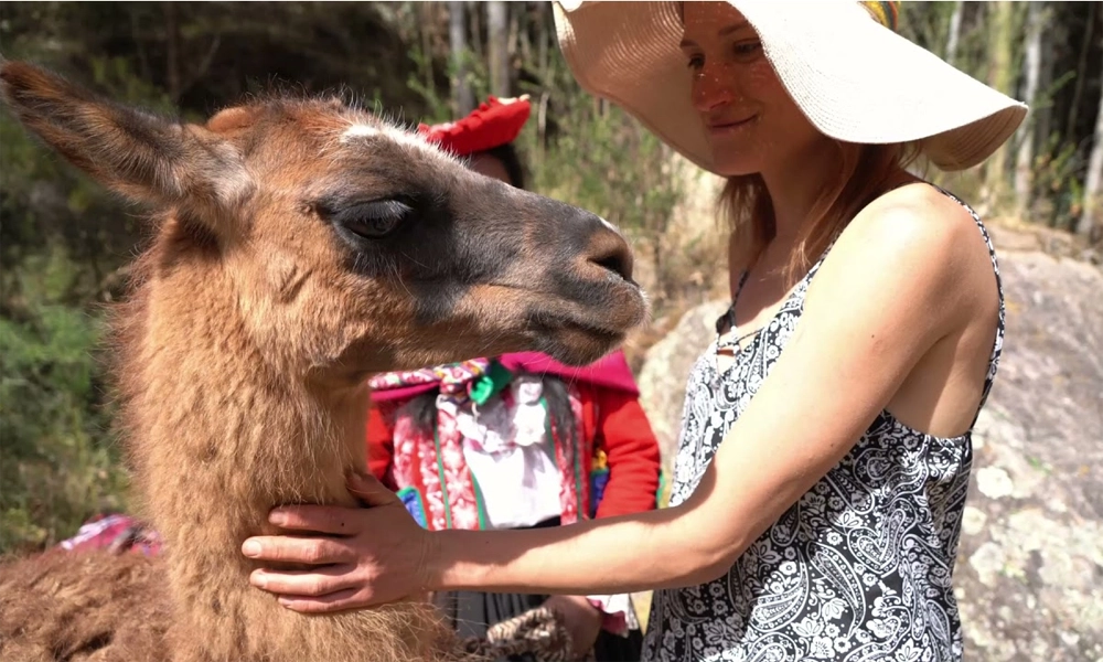 Andean Connection Ritual with Alpacas