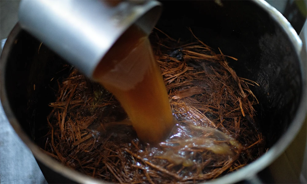 Ayahuasca in Iquitos | Spiritual Connection and Inner Healing