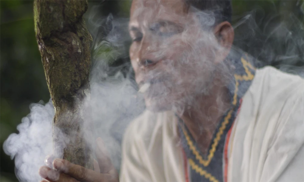 Ayahuasca in Iquitos | Spiritual Connection and Inner Healing
