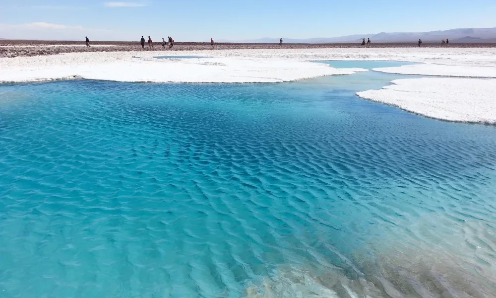 Excursión “Lagunas Escondidas de Baltinache – Belleza Oculta del Desierto”