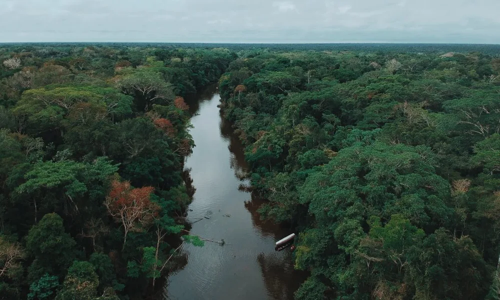 Reserva Tamshiyacu – 4 dias/3 noites | Floresta Amazônica