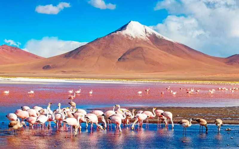 Salar de Uyuni from Cochabamba