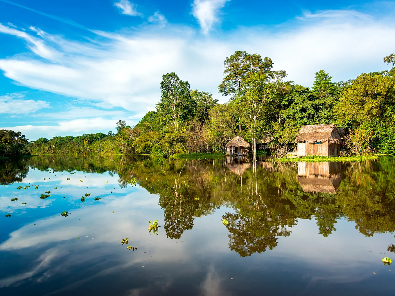 Full Day Ríos Nanay + Momón + Amazonas – Iquitos